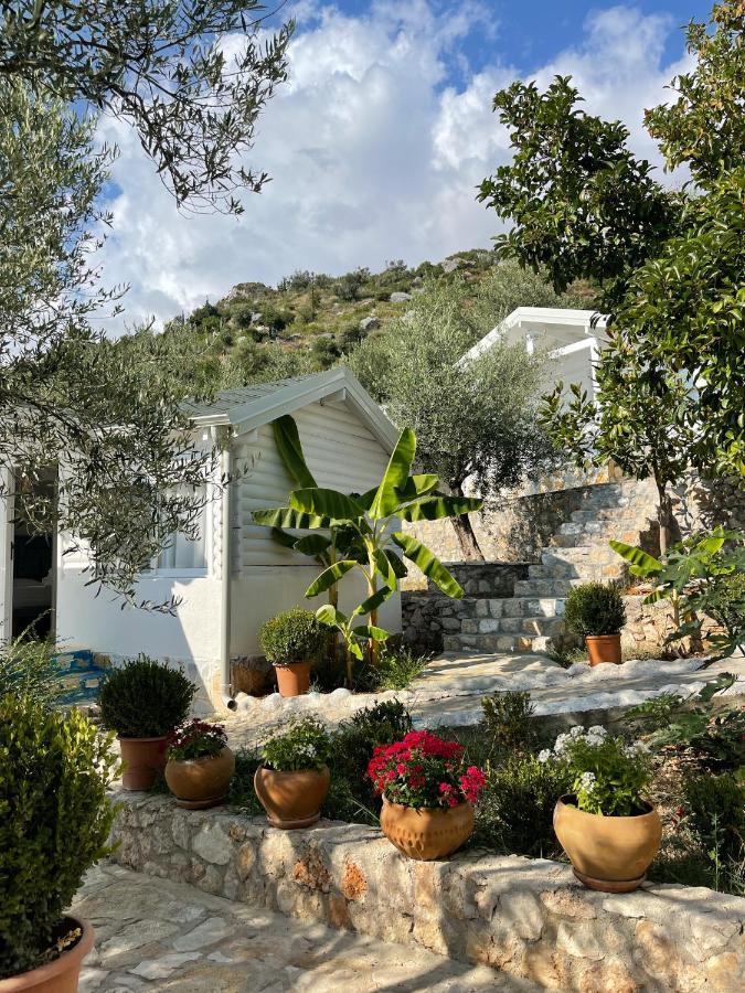 Alevra Hotell Dhërmi Exteriör bild